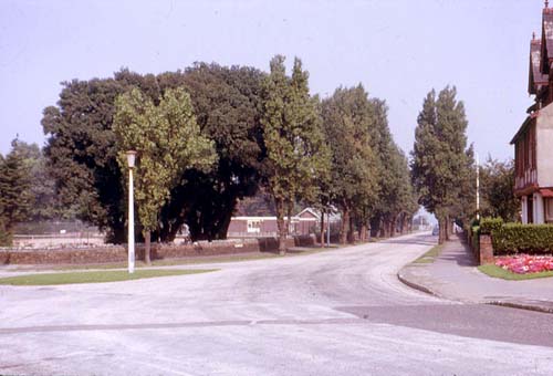 Beach Avenue 1966
